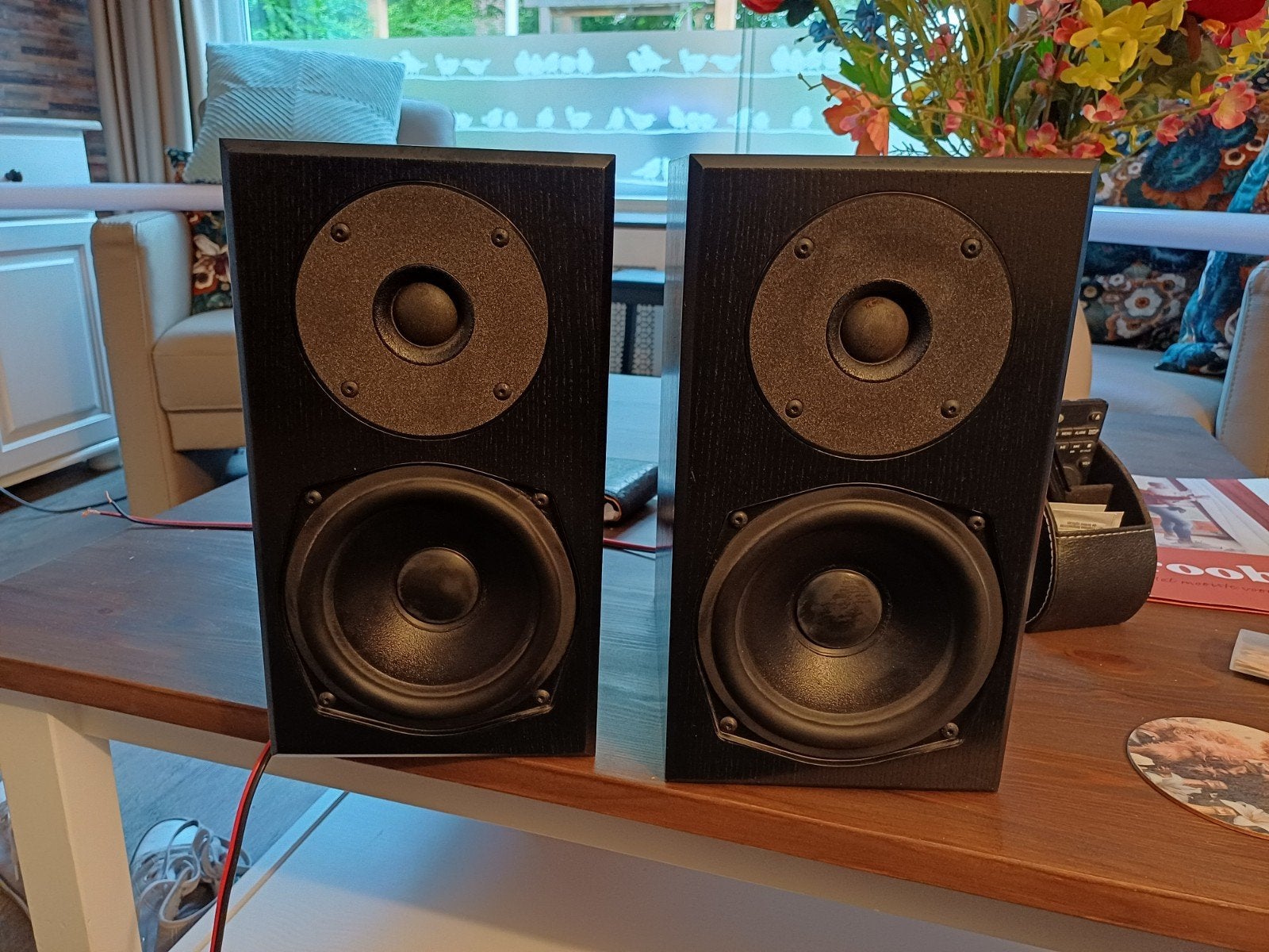 Totem Mite speakers