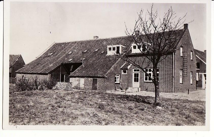 Beegden (L) Het Sangerhoes 1950., Verzenden, 1940 tot 1960, Gelopen, Limburg