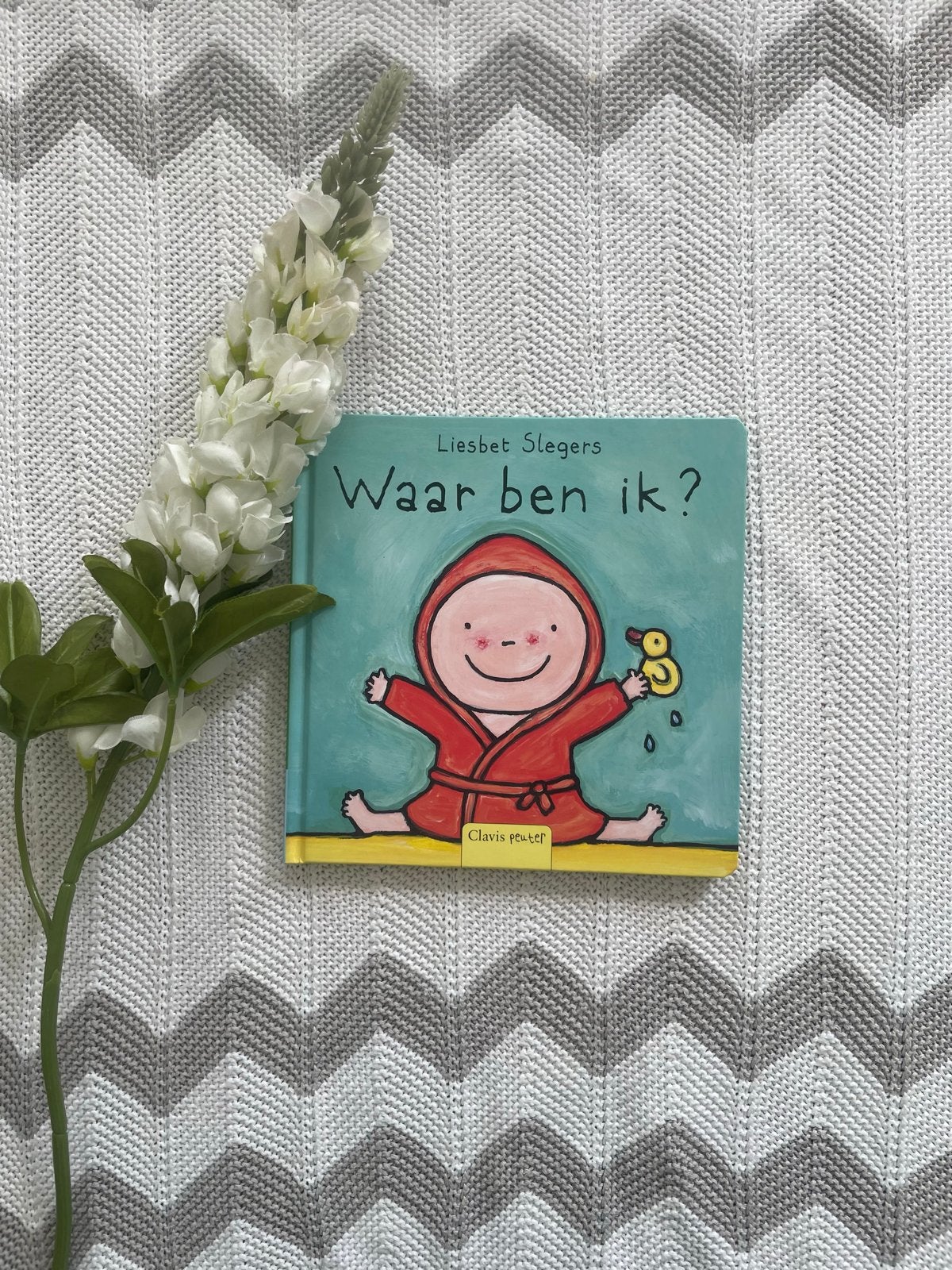 NIEUWstaat, peuterboek: Waar ben ik? van Liesbet Slegers, Ophalen of Verzenden, Nieuw, Uitklap-, Voel- of Ontdekboek, 1 tot 2 jaar