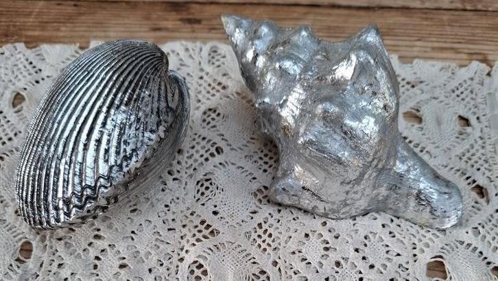 2 Zilverkleurige schelpen, Gebruikt, -, -, Ophalen of Verzenden