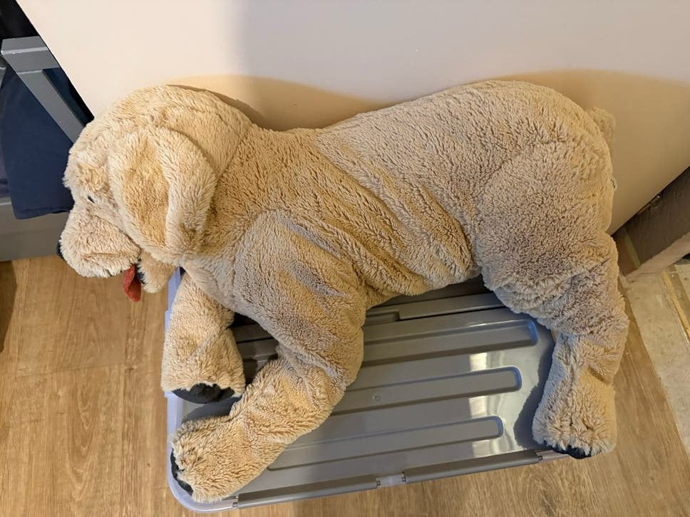 Grote IKEA hond knuffel, IKEA, Zo goed als nieuw, Beige, Groot (groter dan 80 cm)