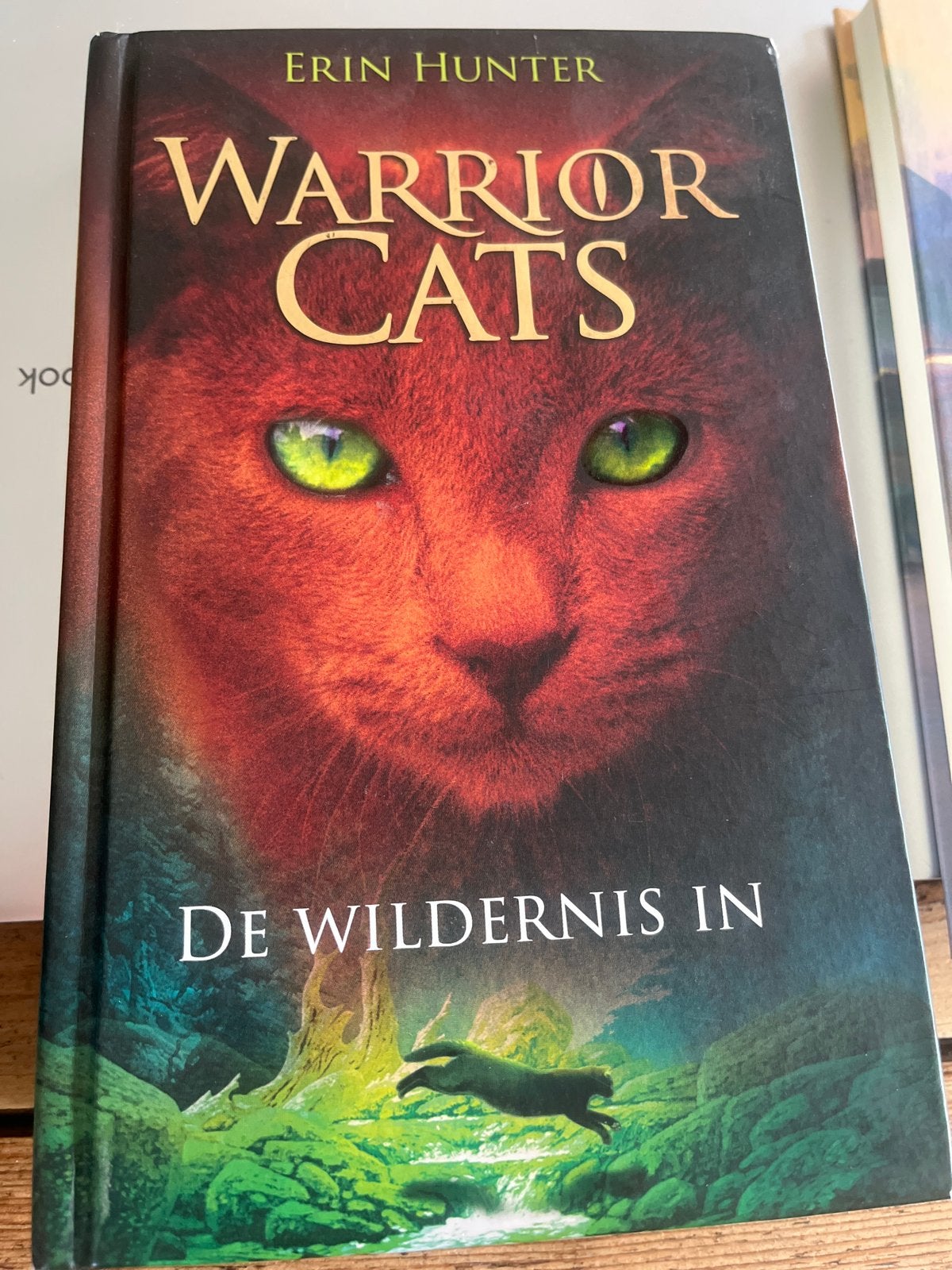 Warrior cats - De wildernis in, Boeken, Ophalen of Verzenden, Zo goed als nieuw, Erin Hunter