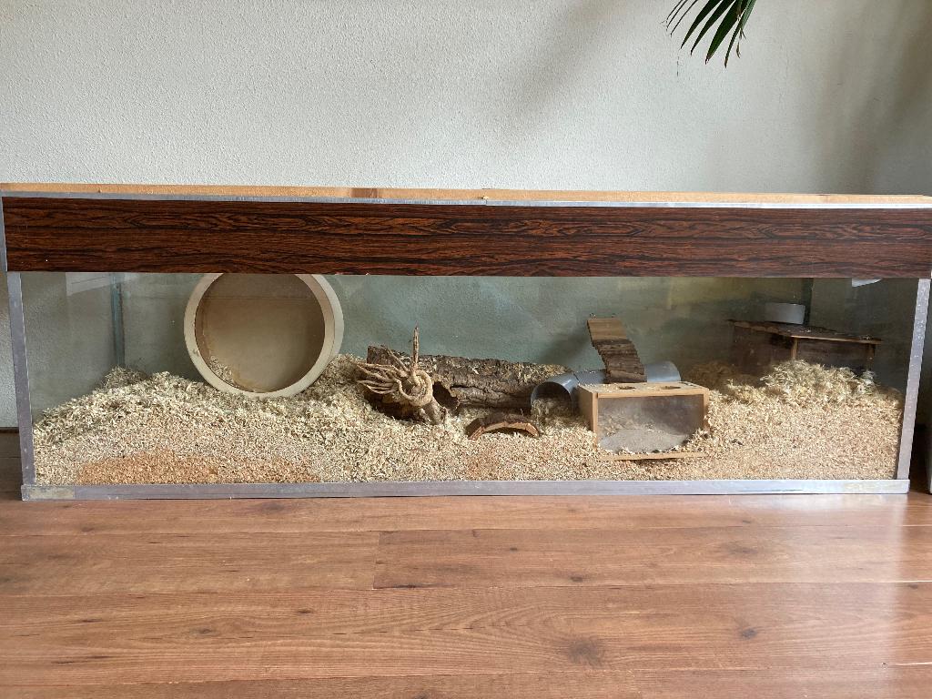 Terrarium of hamsterhok, Dieren en Toebehoren, Hok, Muis, Ophalen, Minder dan 60 cm