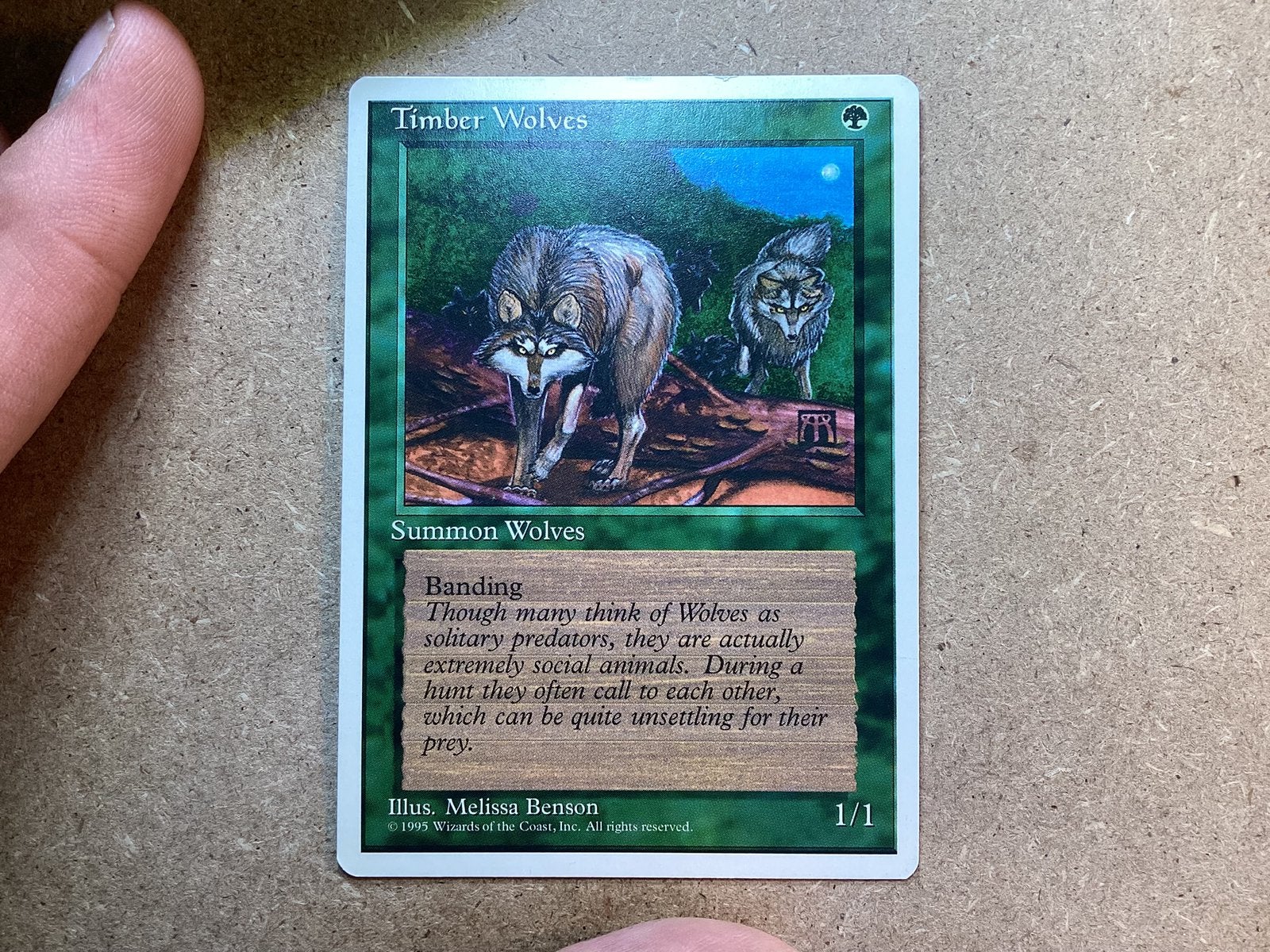1x Timber Wolves (Excellent), Ophalen of Verzenden, Zo goed als nieuw, Losse kaart