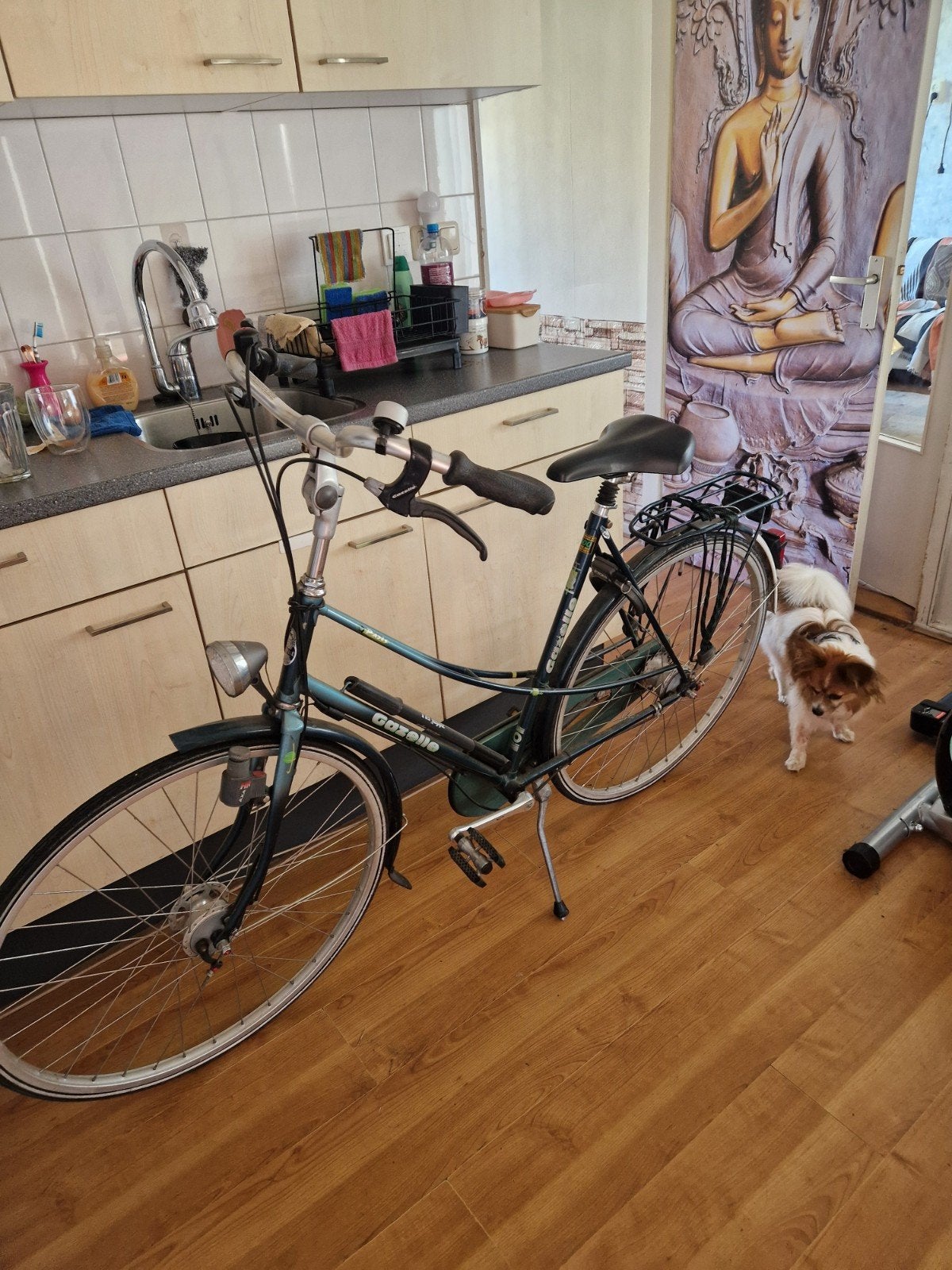 Dames Gazellen zéfal sp3 5 versnellingen 28 inch instap 50cm, 50 tot 53 cm, Ophalen of Verzenden, Overige merken, Versnellingen