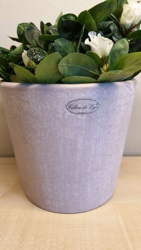 Bloempot, roze, hoogte 14cm, binnen diameter 13cm, nieuw!, Tuin en Terras, Rond, Ophalen of Verzenden, Aardewerk, Binnen