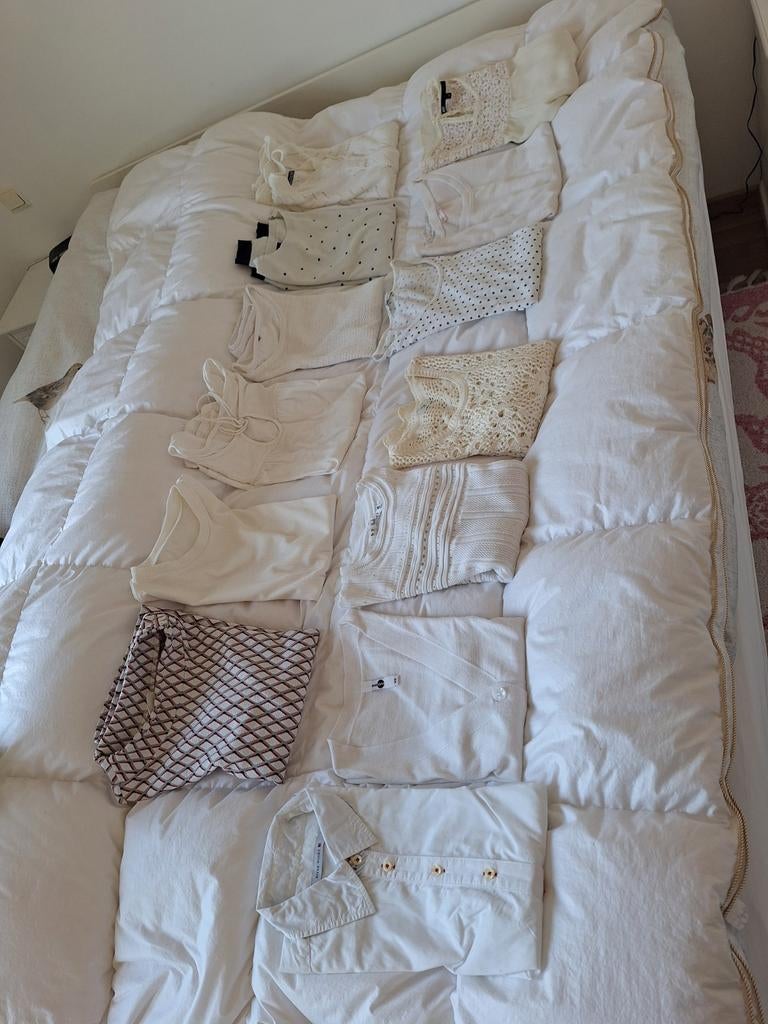 Zeer mooie dames truitjes, Ophalen, Zo goed als nieuw, Maat 38/40 (M)