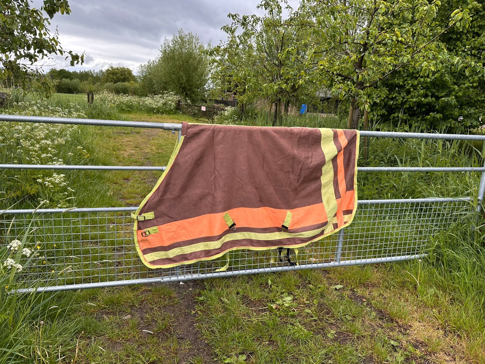 Harry’s horse staldeken 185 met teddy voering, Dieren en Toebehoren, Paarden en Pony's | Dekens en Dekjes, Ophalen of Verzenden