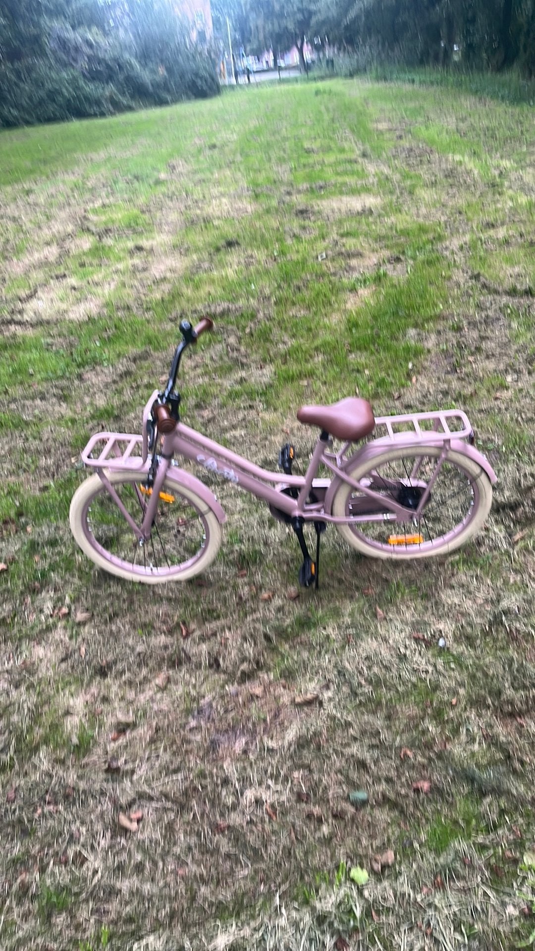 Kinder fiets, Fietsen en Brommers, Ophalen, Terugtraprem, 20 inch, Handrem