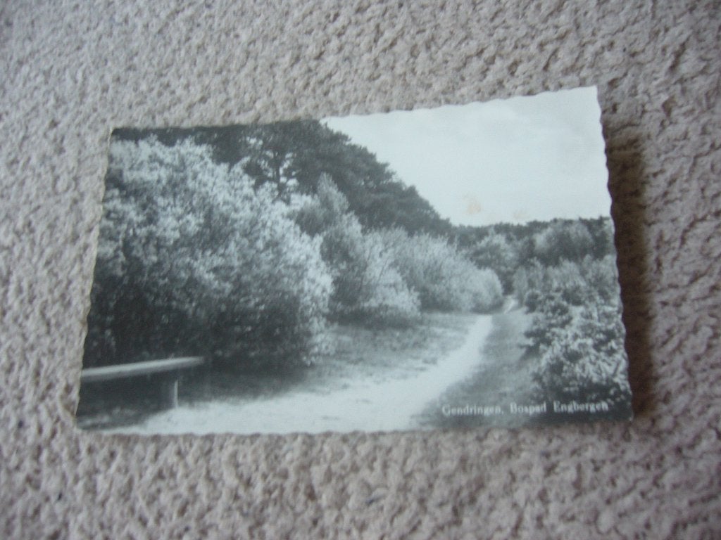 GENDRINGEN  =  BOSPAD ENGBERGEN, Ophalen of Verzenden, 1960 tot 1980, Gelopen, Gelderland