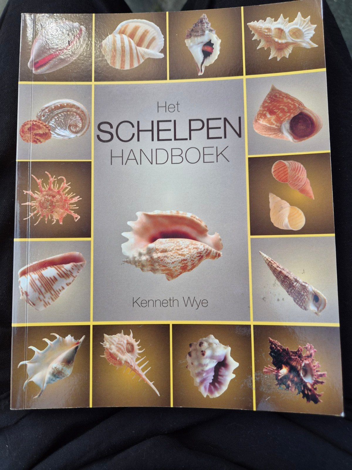 Het Schelpen Handboek - Kenneth Wye, Boeken, Natuur, Ophalen of Verzenden, Gelezen, Natuur algemeen, Kenneth Wye