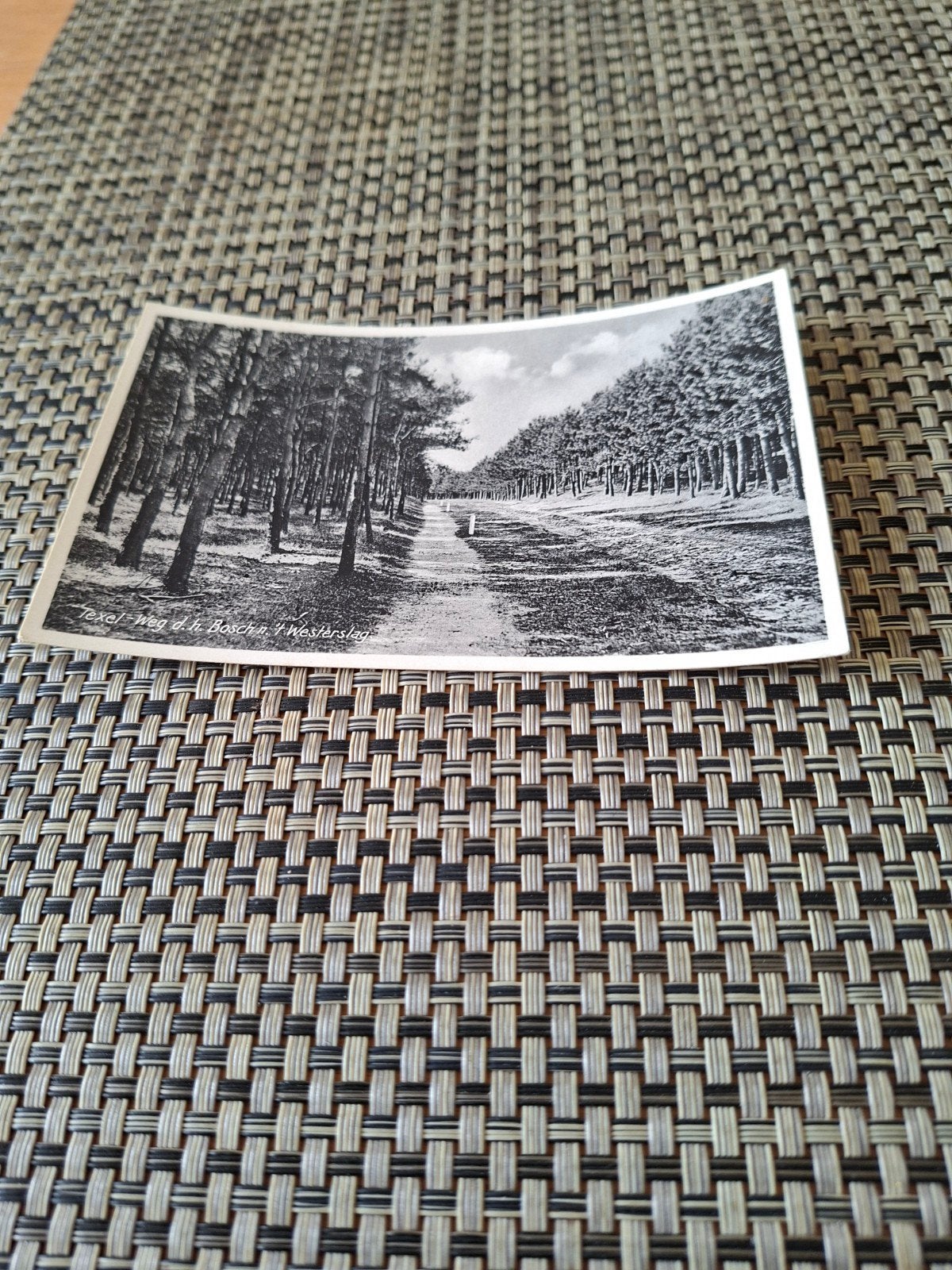 Texel - Duinen en Bossen (4 stuks), Ophalen of Verzenden, 1940 tot 1960, Gelopen, Waddeneilanden