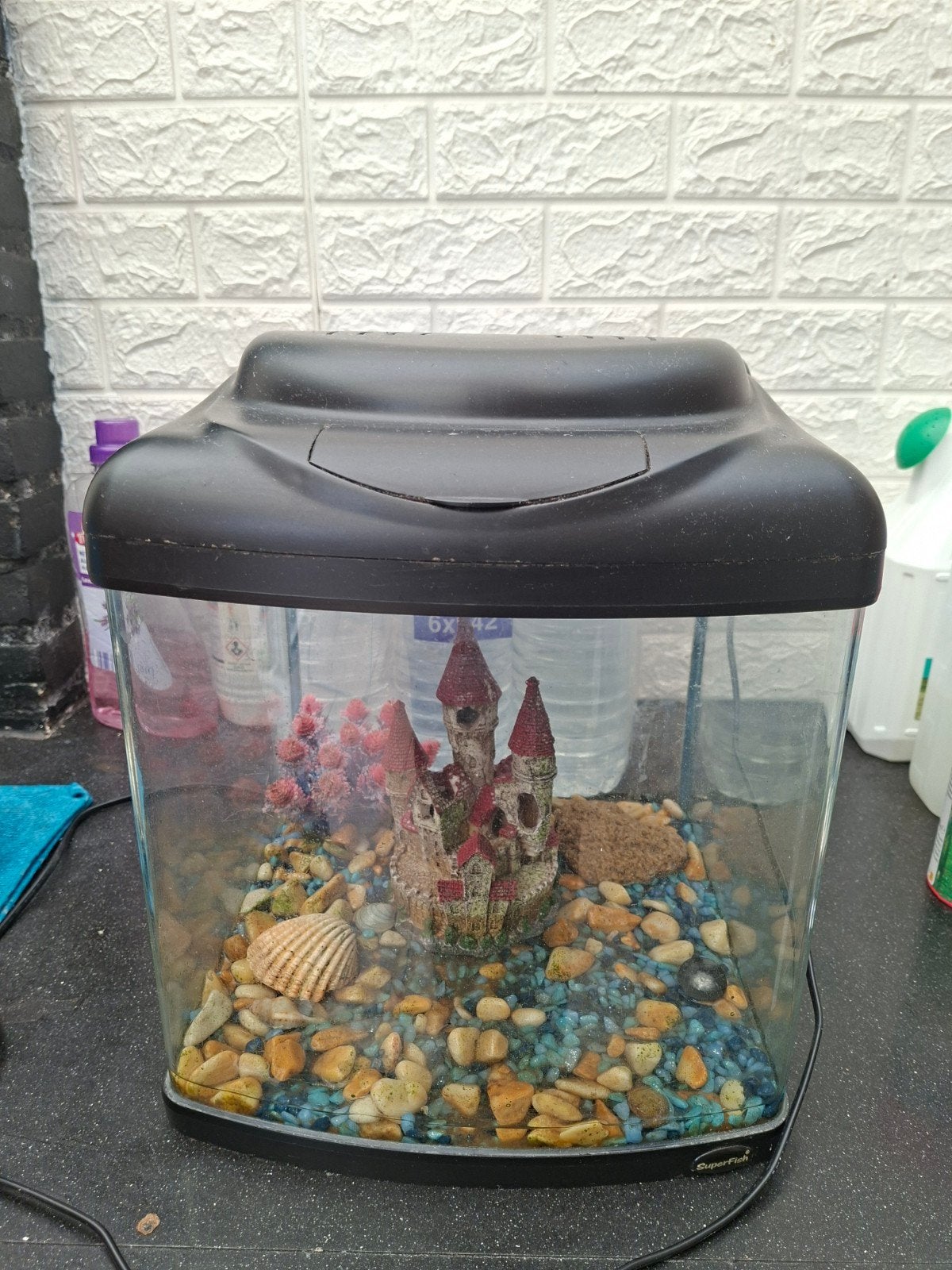 Aquarium met pomp en temperatuur regelaar, Ophalen, Leeg aquarium