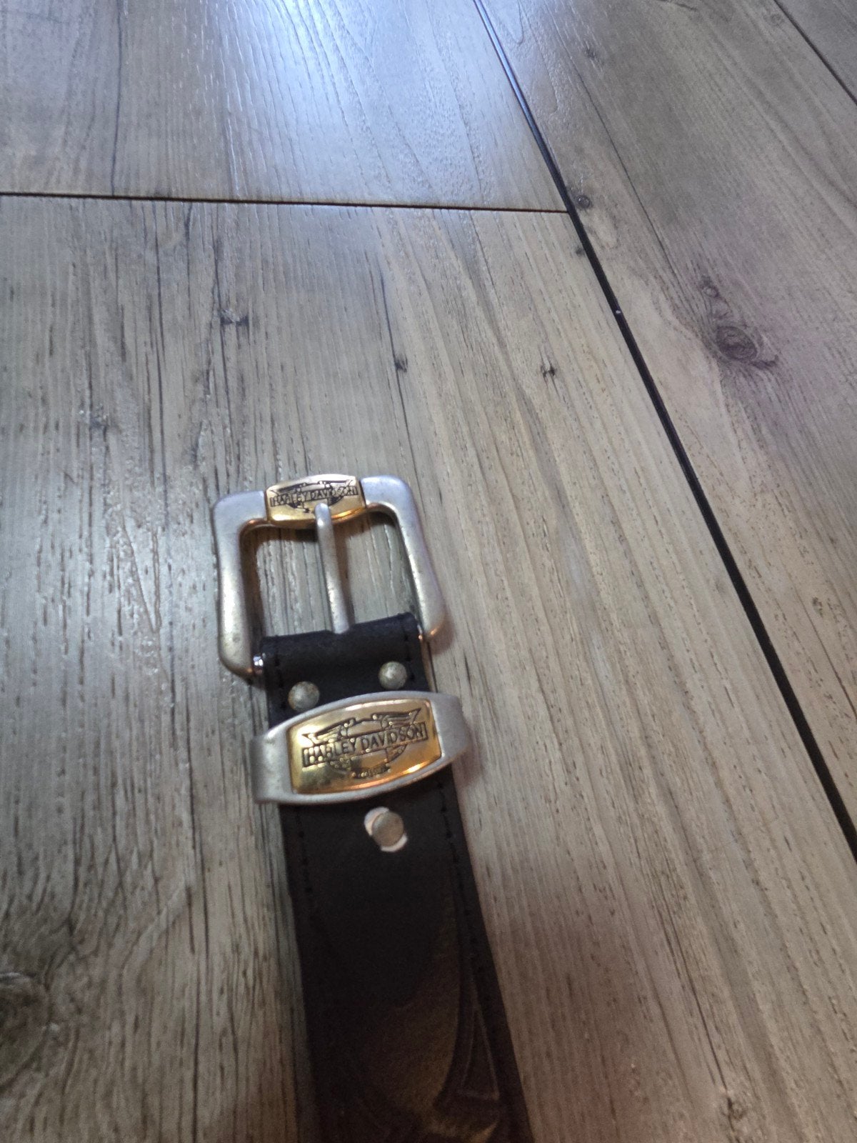 Harley-Davidson Leren Riem - Zwart, Maat 100/40, Kleding | Heren, Riemen en Ceinturen, 95 tot 105 cm, Ophalen of Verzenden, Riem of Ceintuur