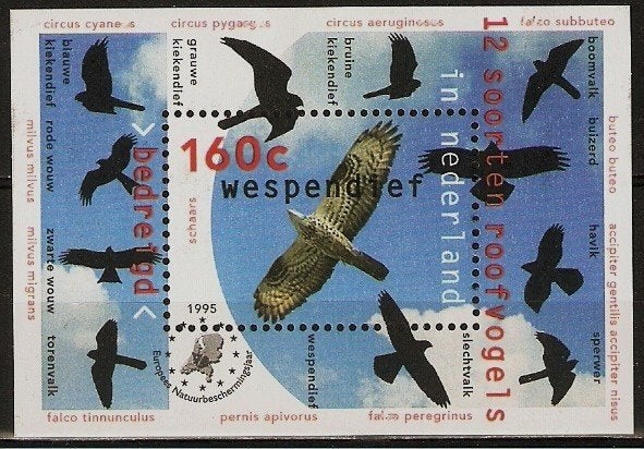 Nederland 1652 blok wespendief, roofvogels., Verzenden, Postfris
