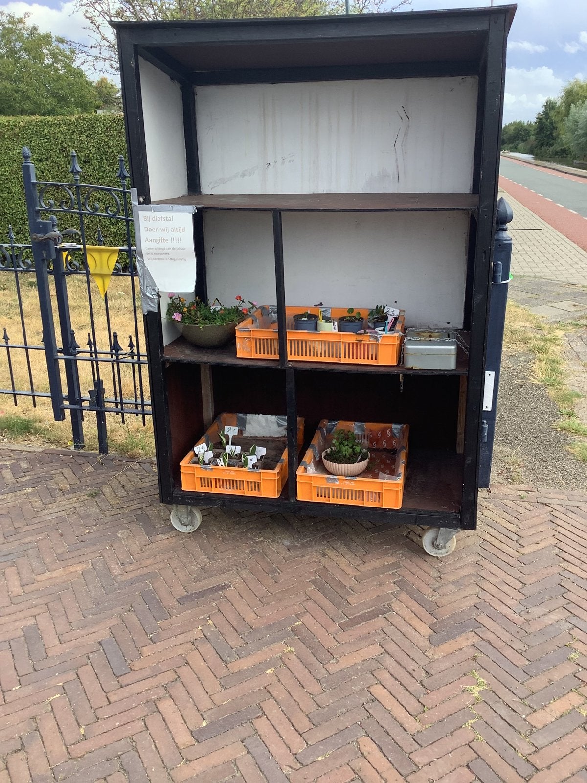 Buitenverkoopkast, Volle zon, Vaste plant, Zomer, Ophalen