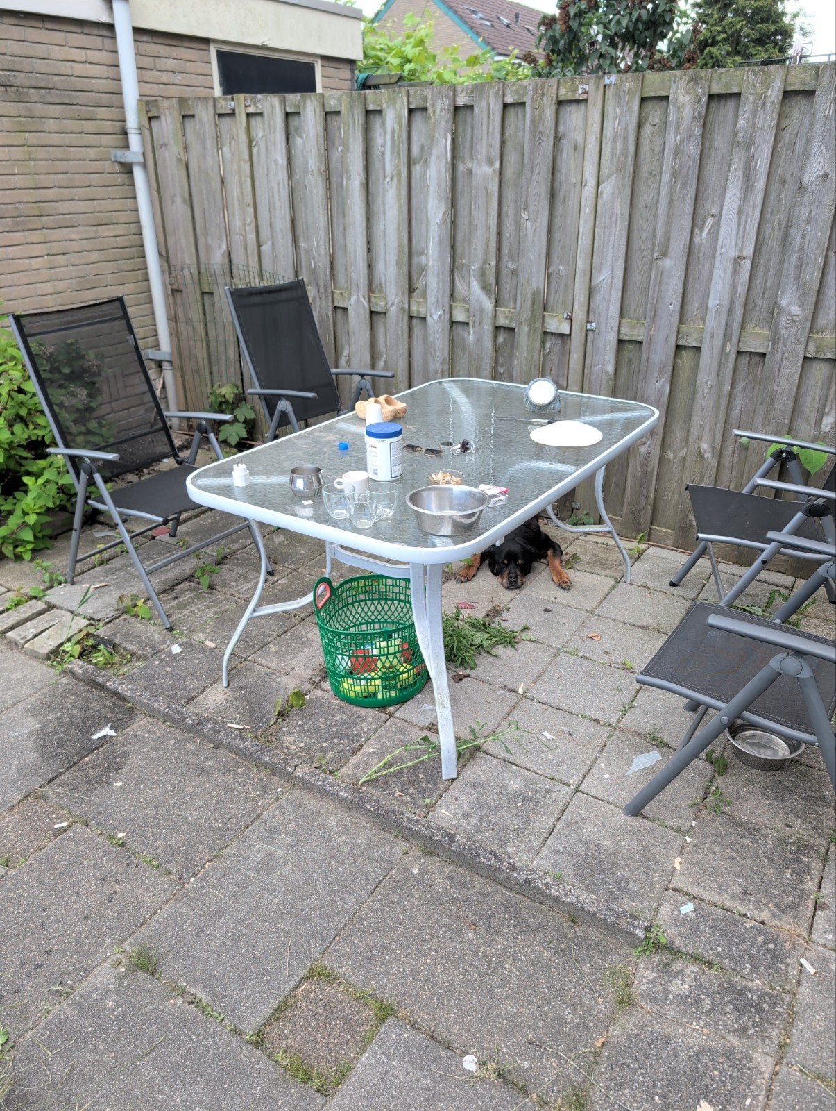 Gratis afhalen, Ophalen of Verzenden