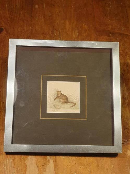 Hazelmuis gravure 1803 William Mackenzie, Ophalen