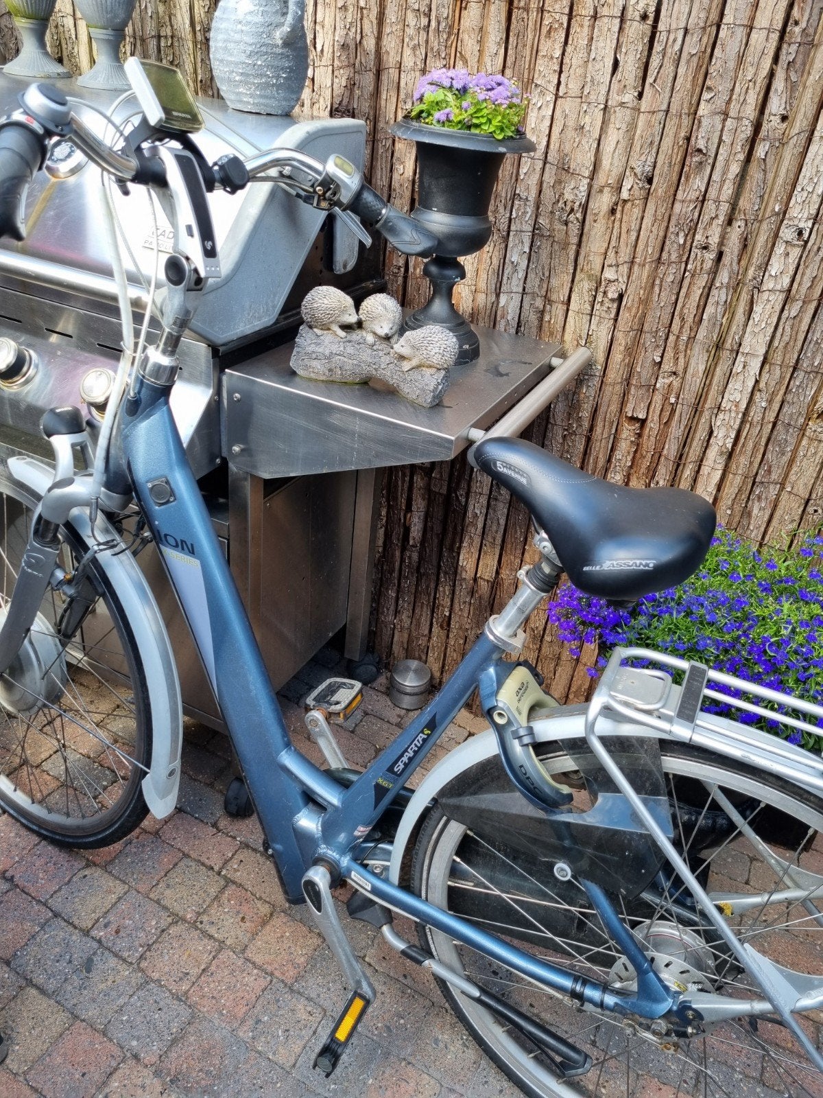 Sparta Ion elektrische fiets, Ophalen, Minder dan 30 km per accu, Sparta, Gebruikt