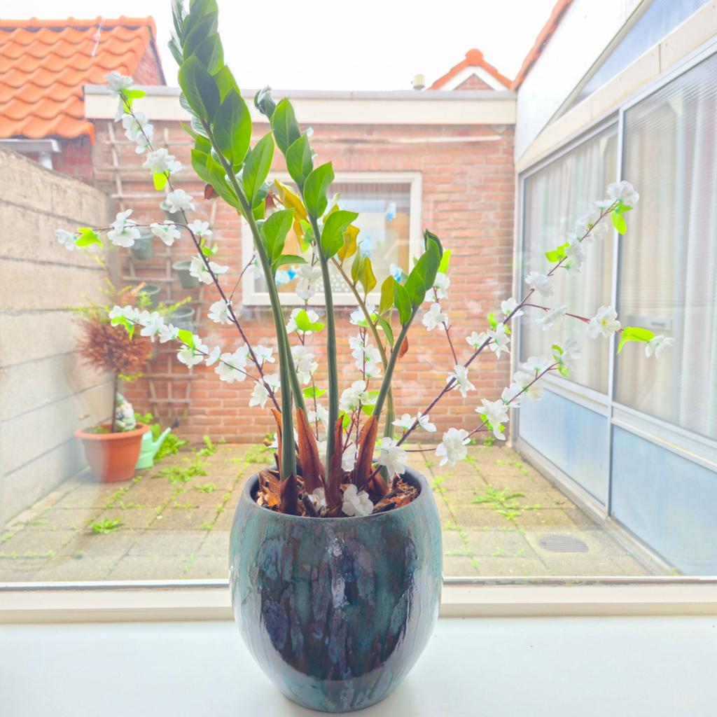 Prachtige bloempot met kamerplant, bloempotten, pot, bak, Rond, Zo goed als nieuw, Minder dan 40 cm, Aardewerk