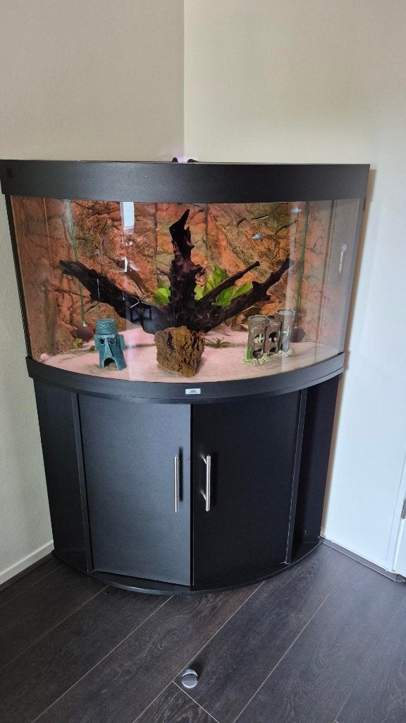 Juwel Trigon 190 Aquarium Compleet, Dieren en Toebehoren, Vissen | Aquaria en Toebehoren, Ophalen, Inclusief vissen, Juwel, Gevuld zoetwateraquarium