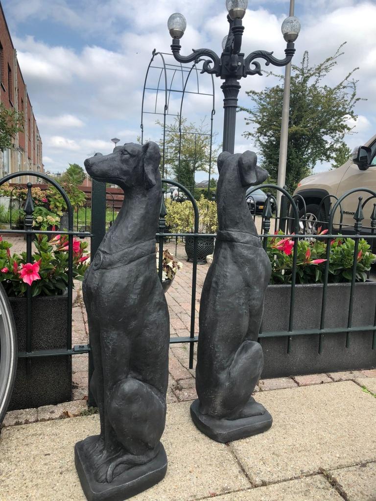 2 grote statige honden windhond whippet hazewindhond zwart, Ophalen, Beton, Dierenbeeld