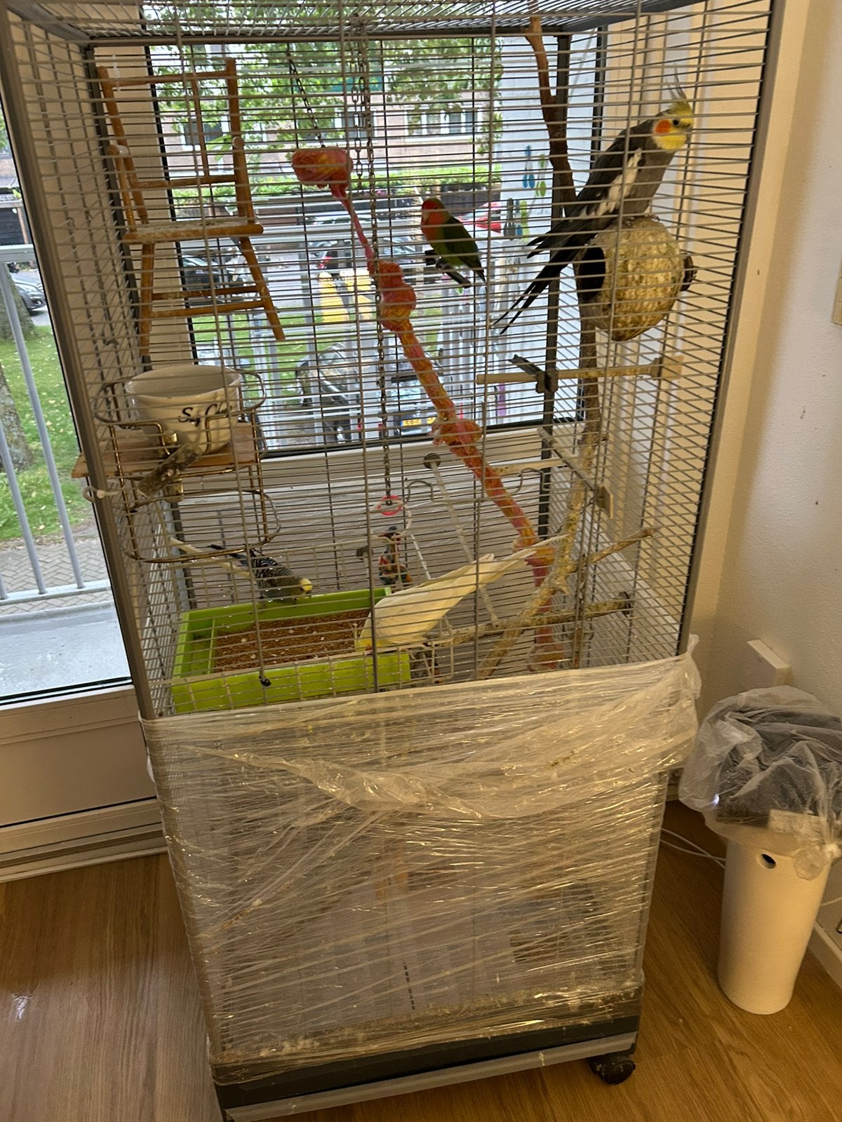 4 soorten vogels met kooi, Ophalen of Verzenden, Zo goed als nieuw, Metaal, Vogelkooi