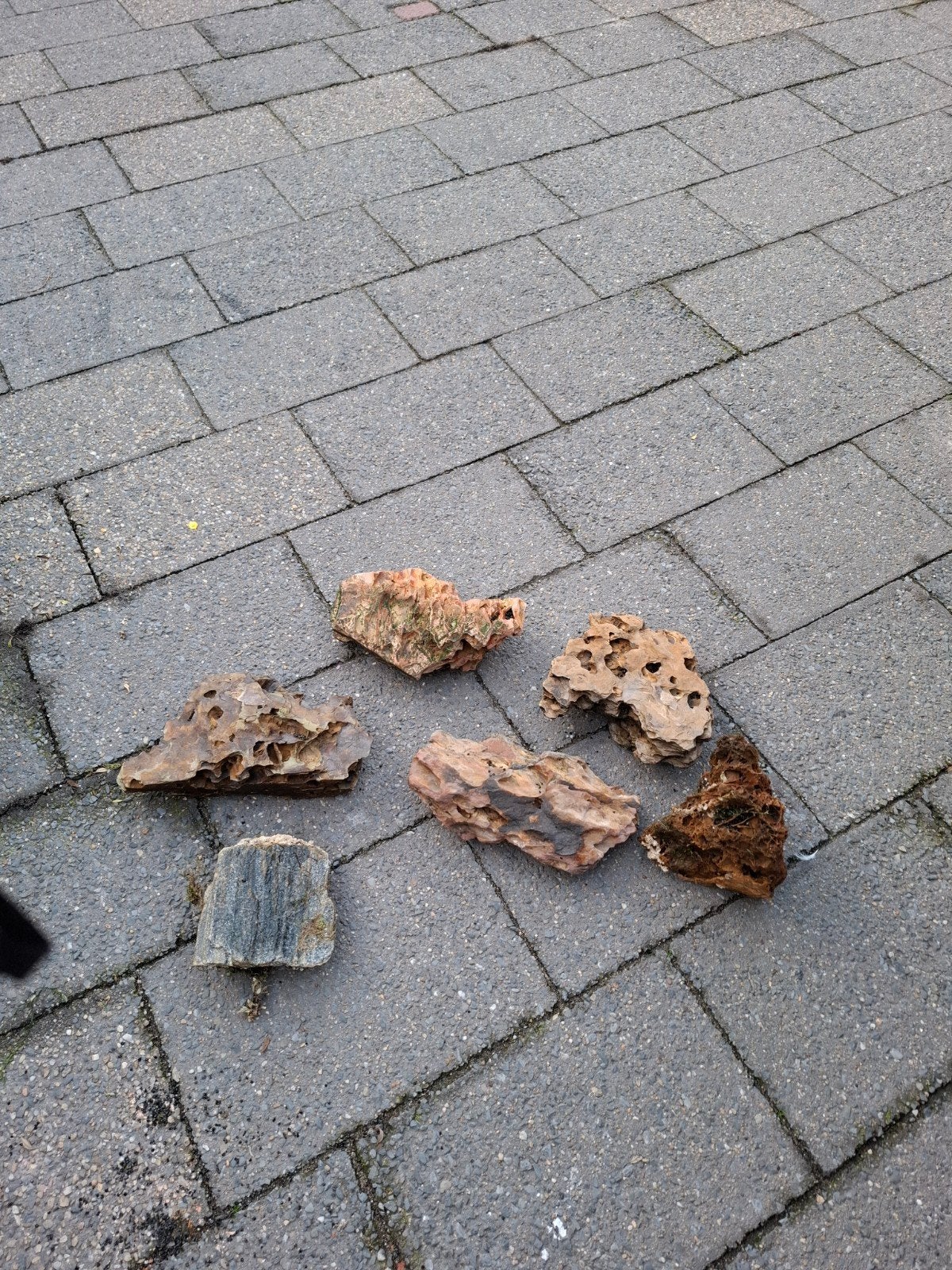 rotsenl, Ophalen, Plant(en), Steen of Hout