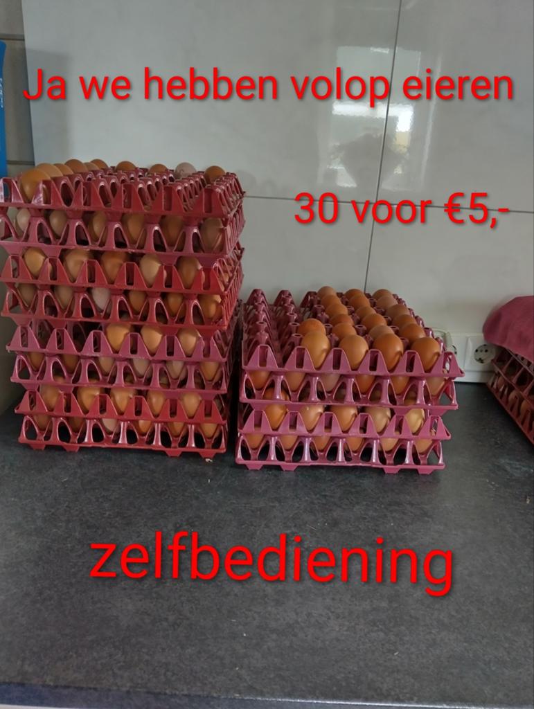Te koop heerlijke bruine verse eieren, Dieren en Toebehoren, Ophalen of Verzenden, Overige typen