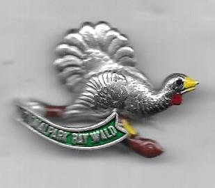 VOGEL DIEREN SPELD, Verzenden, Gebruikt, Dier of Natuur, Speldje of Pin