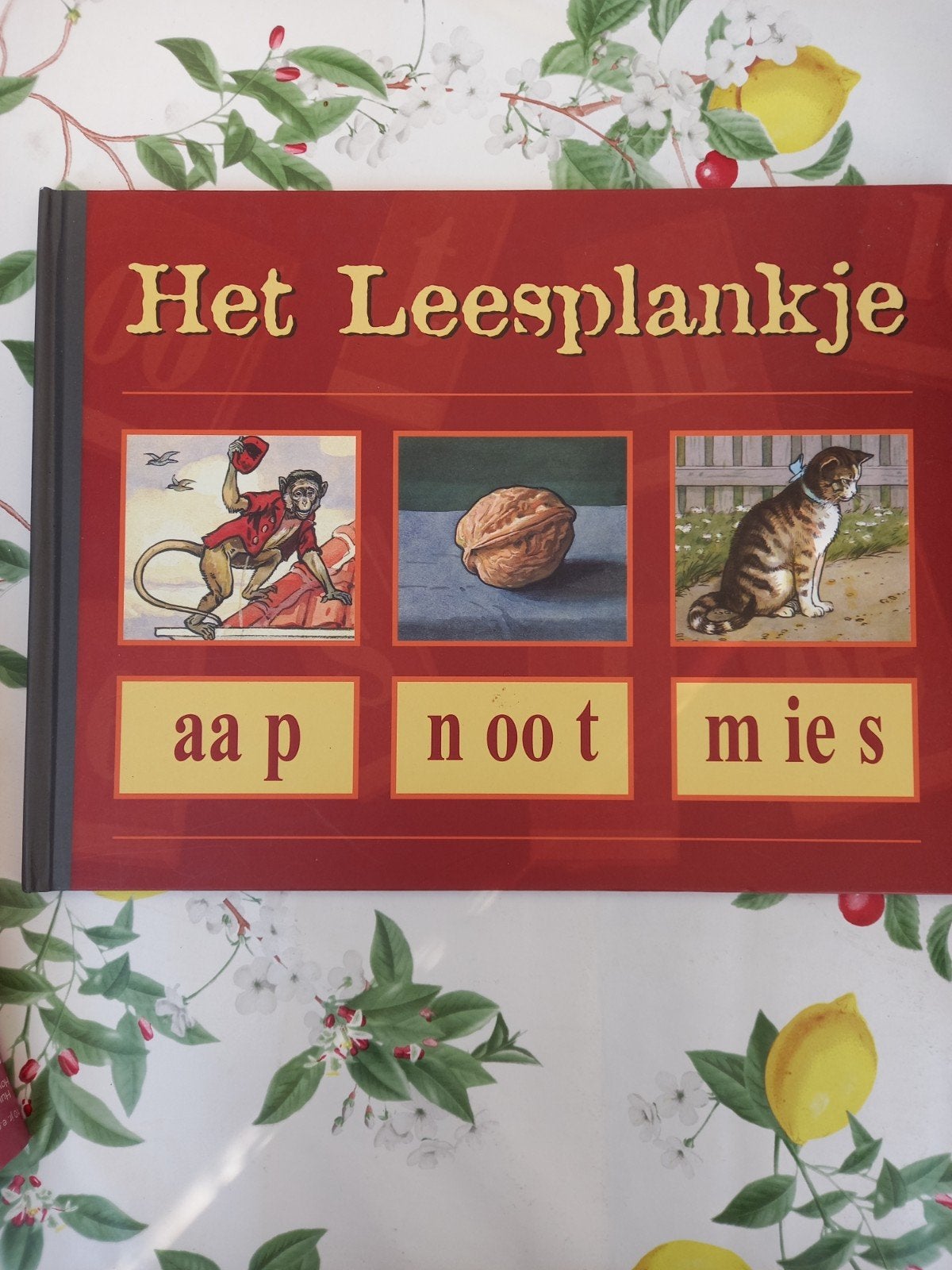 W Het leesplankje, M.B. Hoogeveen, Non-fictie, Ophalen of Verzenden, Zo goed als nieuw