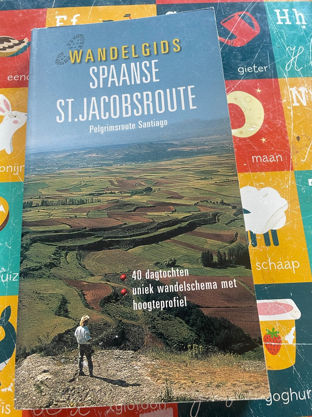 Wandelgids Spaanse St. Jacobsroute Pelgrimsroute Santiago, Boeken, Fiets- of Wandelgids, Europa, Ophalen of Verzenden, Gelezen