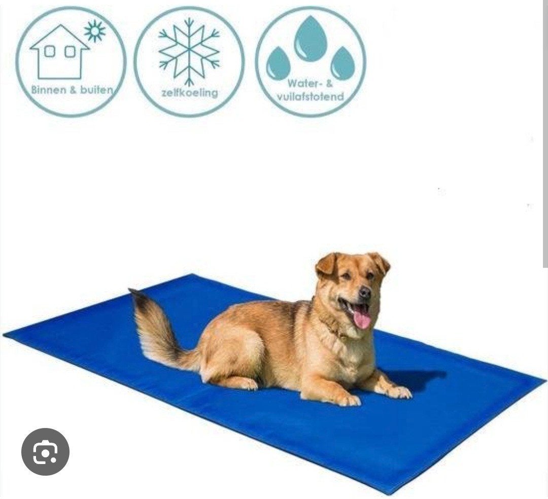 Ruime koelmat voor hond, Dieren en Toebehoren, Ophalen of Verzenden, Zo goed als nieuw