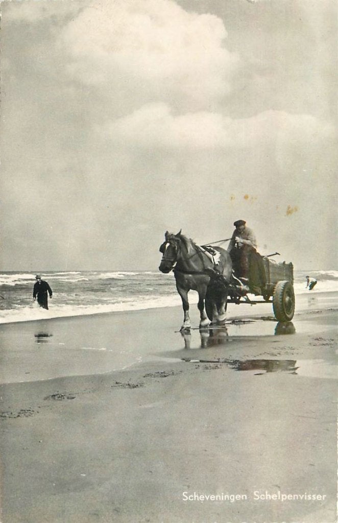 701-219-017 Scheveningen Schelpenvisser, Verzenden, Voor 1920, Zuid-Holland