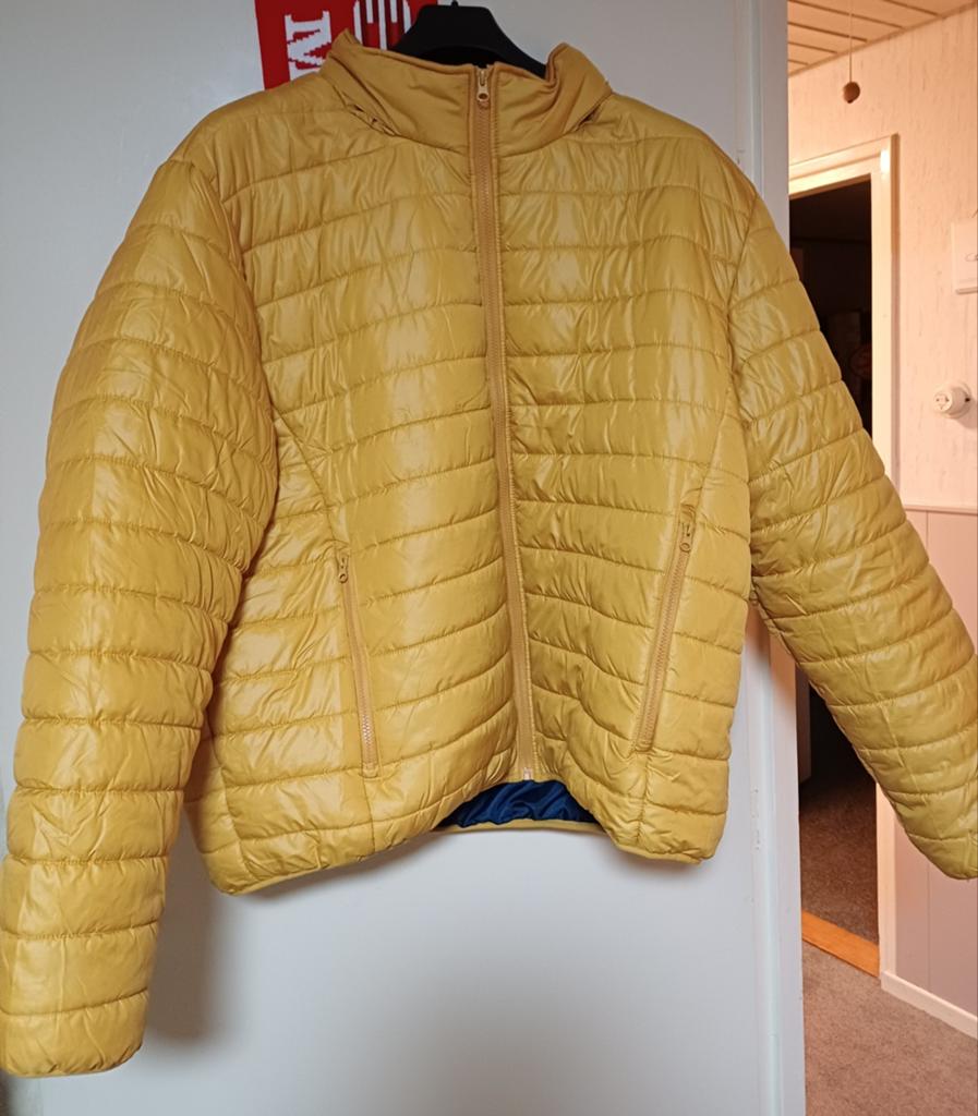 Te koop nieuwe gele jas voor 40 euro, Ophalen, Nieuw, Overige maten, Geel
