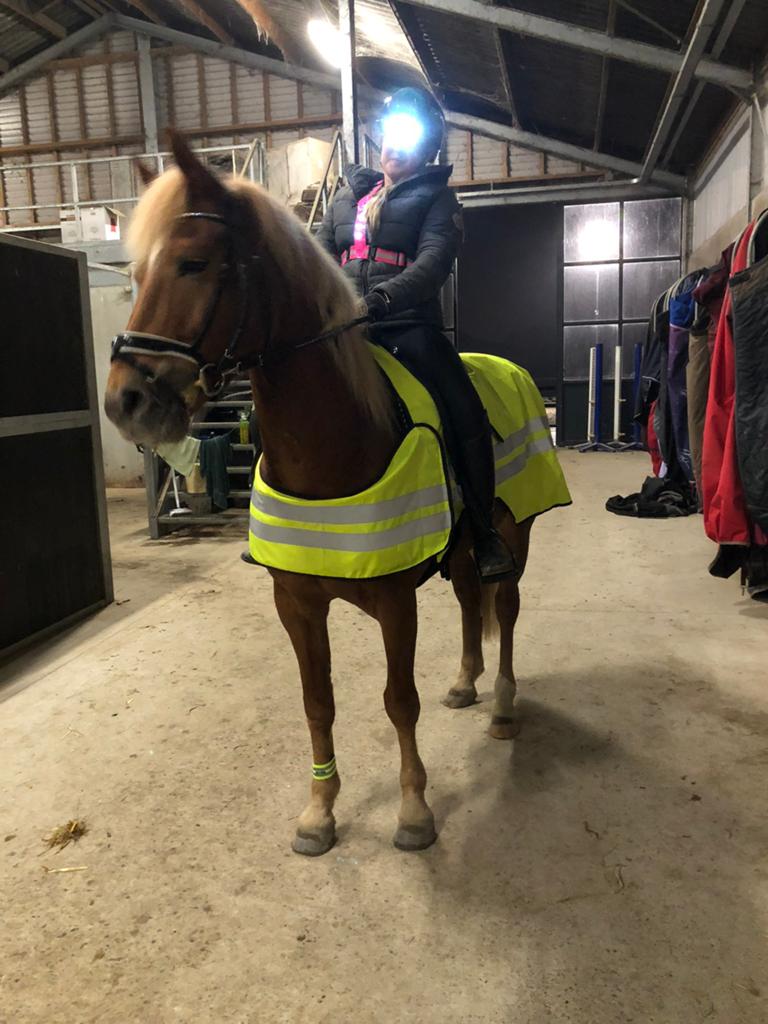 Reflectie uitrijdeken (maat M), Overige typen, Ophalen of Verzenden, Zo goed als nieuw, Harry's Horse