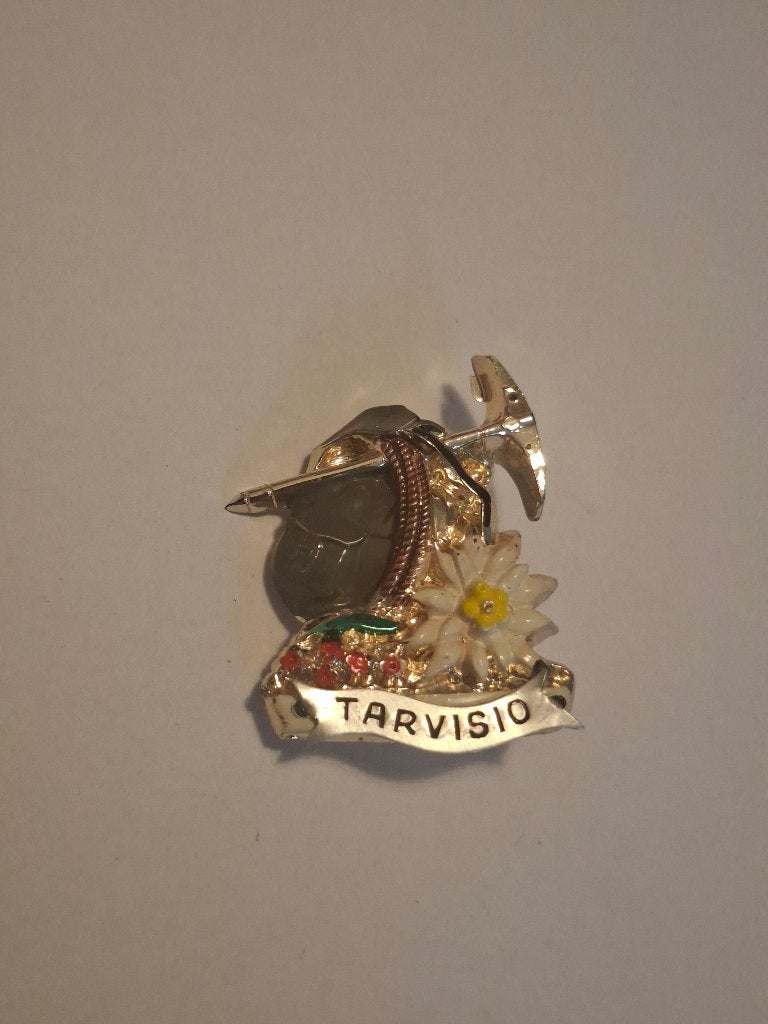 Speld broche tarvisio, Ophalen of Verzenden, Overige onderwerpen