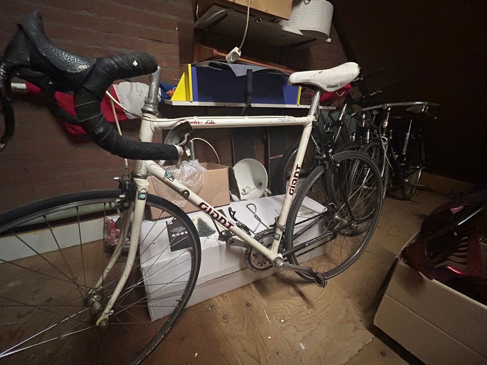 Vintage Giant wielrenfiets racefiets, Ophalen