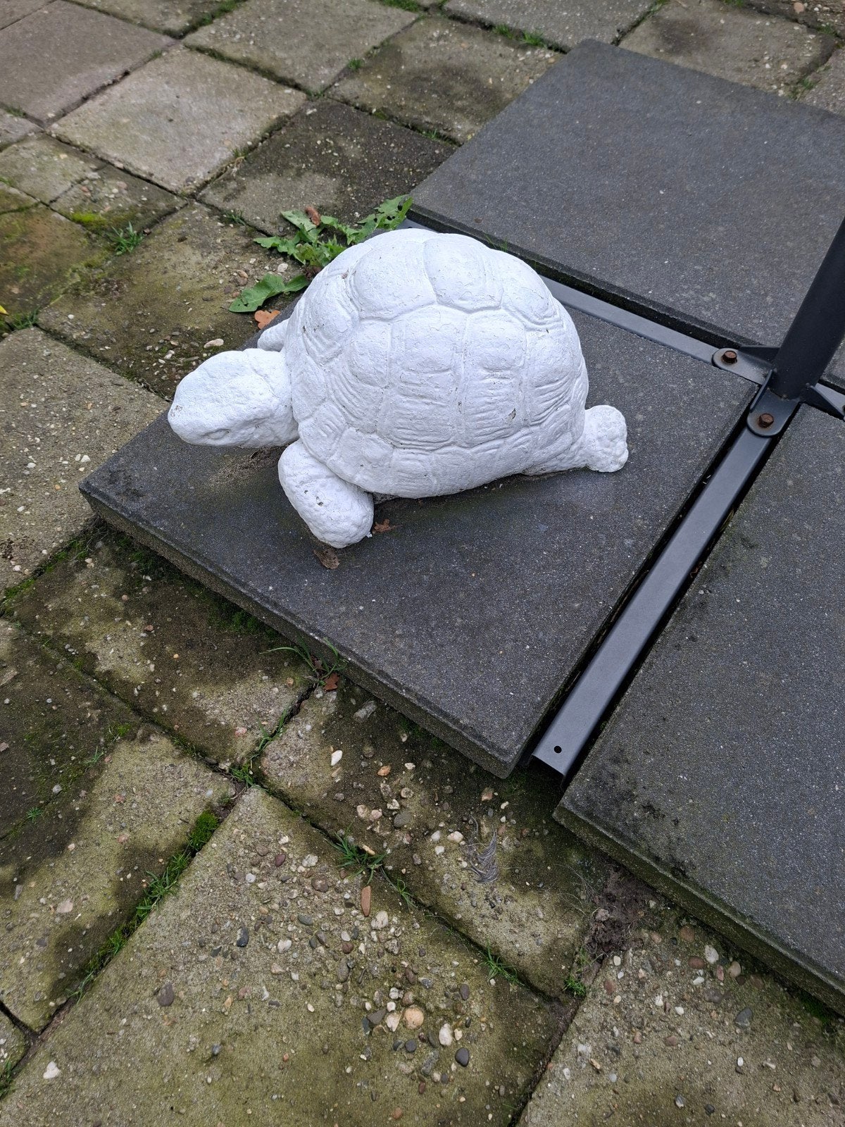 Te koop mooi schilpad van beton, Tuin en Terras, Ophalen, Gebruikt, Minder dan 1 meter, Parasolvoet