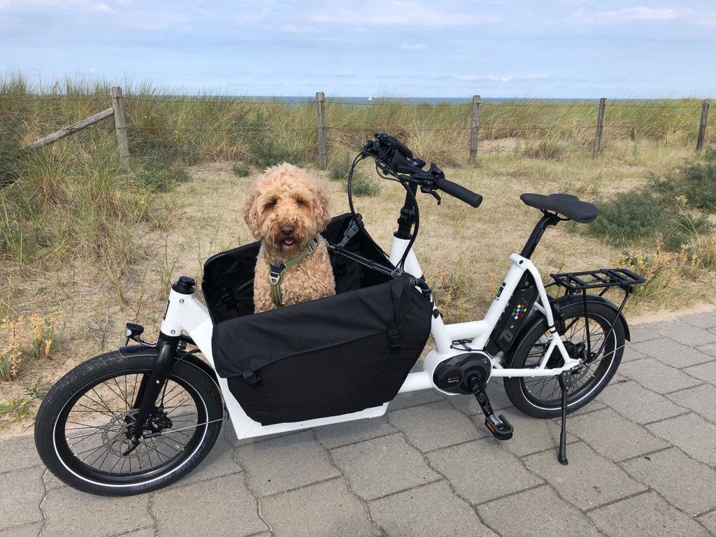 SALE: i:SY - Urban Arrow - BIMAS - bakfiets, Overige merken, 4 kinderen of meer, Nieuw, Ophalen of Verzenden