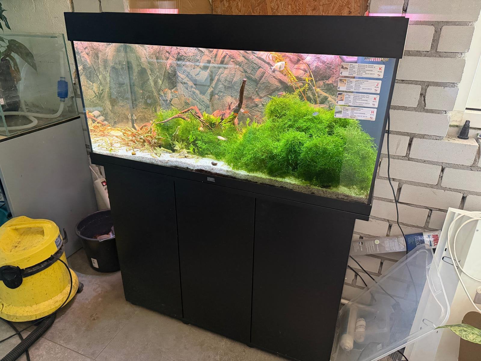 Juwel Rio 180 Aquarium, Dieren en Toebehoren, Vissen | Aquaria en Toebehoren, Ophalen, Zo goed als nieuw, Gevuld zoetwateraquarium