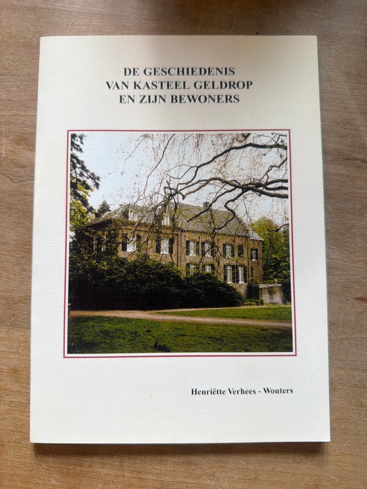 De Geschiedenis van Kasteel Geldrop en zijn Bewoners, Boeken, Geschiedenis | Stad en Regio, Ophalen of Verzenden, 20e eeuw of later