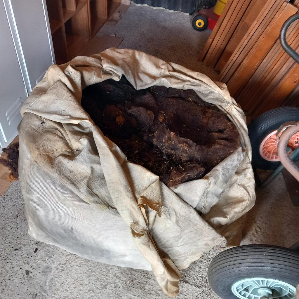 Schapenwol, Hobby en Vrije tijd, Spinnewielen en Spinnen, Ophalen, Spinwol