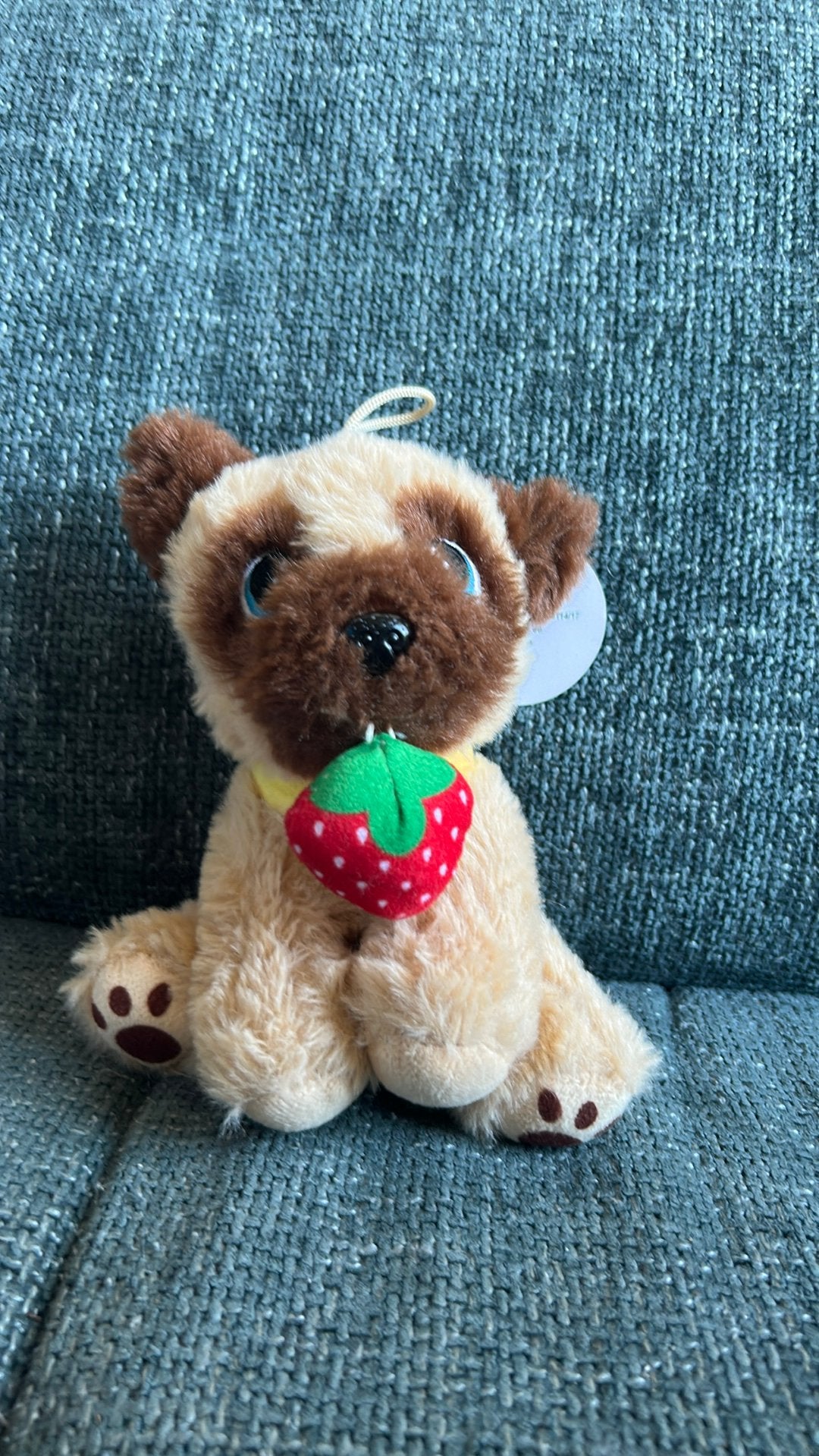 hond met aardbei, Overige merken, Overige karakters, Nieuw, Middelgroot (20 tot 80 cm)