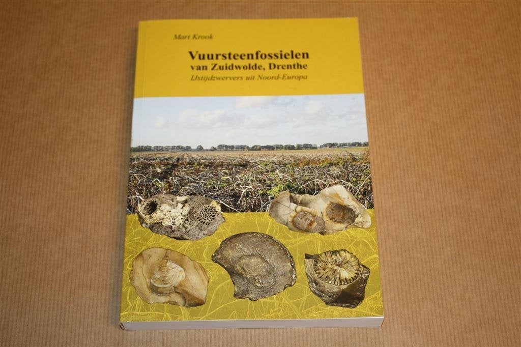 Boek - Vuursteenfossielen van Zuidwolde, Drenthe, Ophalen of Verzenden, Schelp(en)