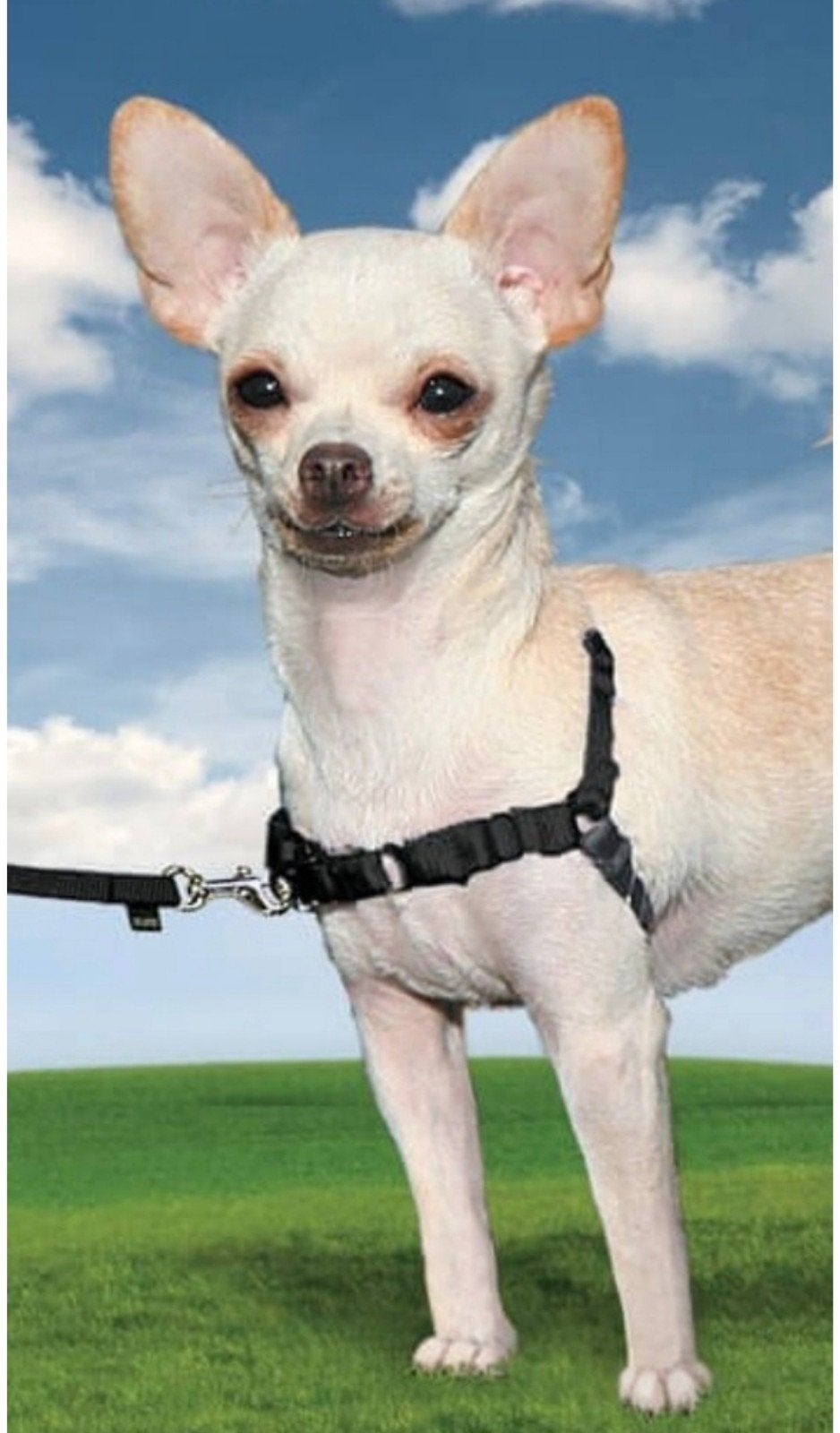 Easywalk easy walk xs en s Tuig antitrektuig trektuig NIEUW, Ophalen of Verzenden, Nieuw