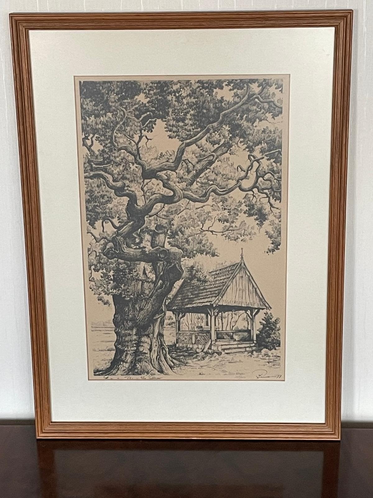 Tekening Kroezeboom in Fleringen, Ophalen, Landschap, Ingelijst