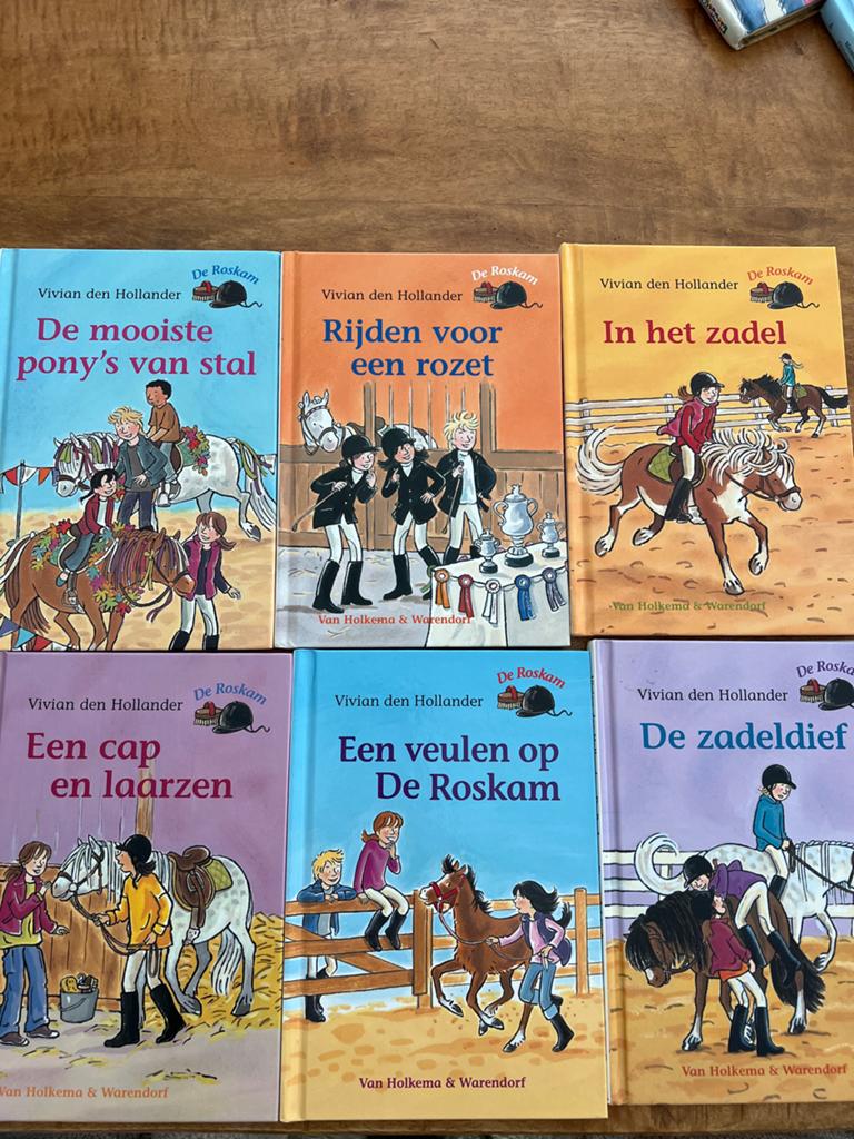 6 boeken van Vivian den Hollander - De Roskam, Ophalen of Verzenden, Gelezen, Fictie algemeen