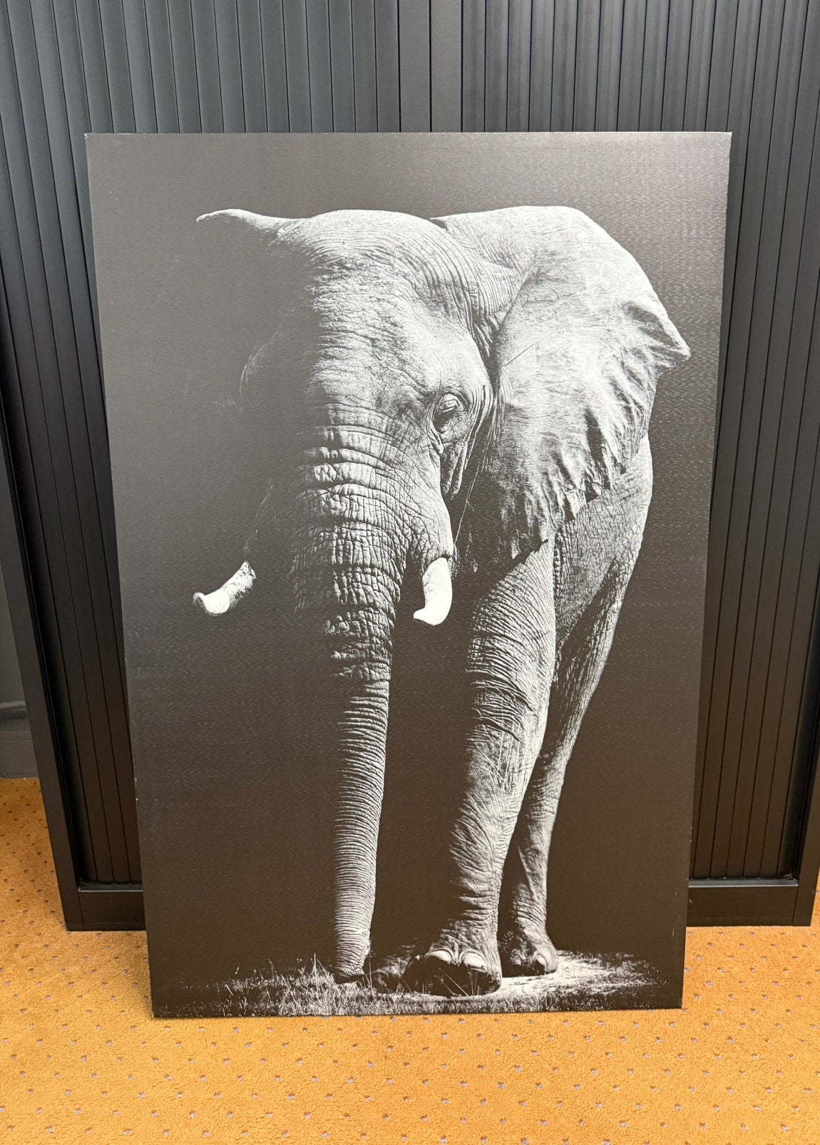 Groot schilderij / wanddecoratie/ foto olifant op canvas, Ophalen, 75 cm of meer, 50 tot 75 cm, Print