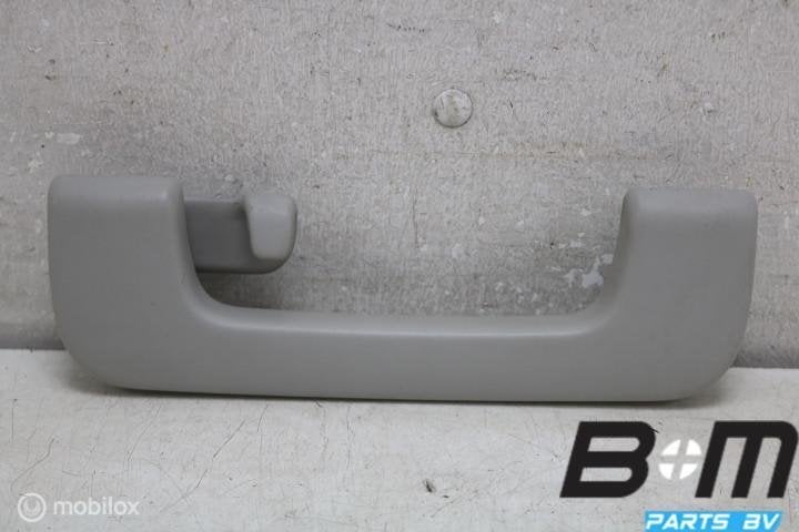 Handgreep in hemel LA Audi A6 4F 8P0857607D, Gebruikt